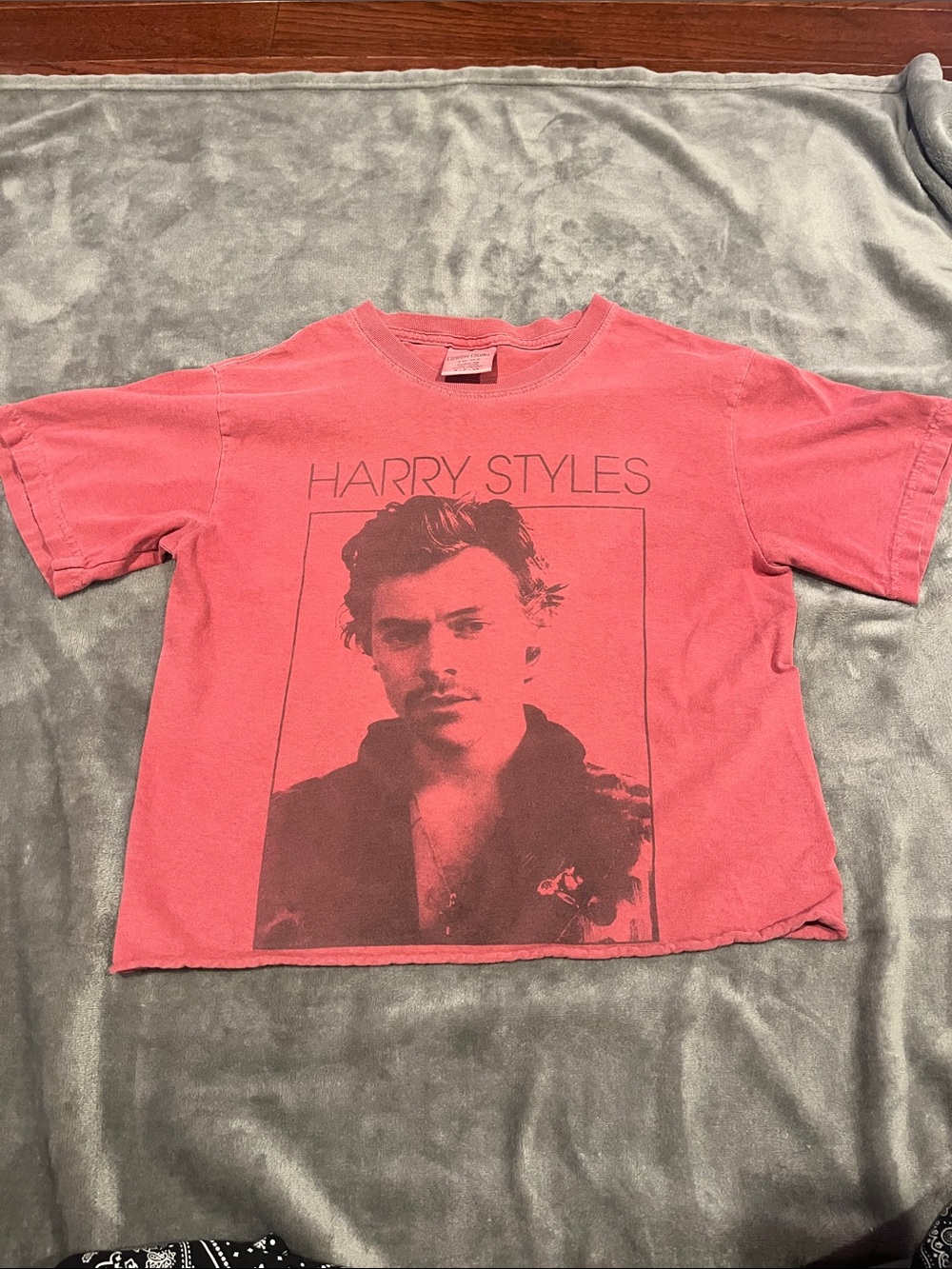 Harry Styles Graphic Tee in Faded Coral cropped